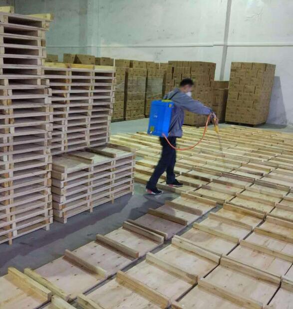 廠(chǎng)區(qū)白蟻防治