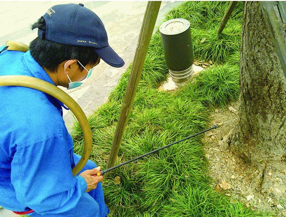 小區(qū)園林做白蟻防治